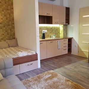 Appartement met een Slaapkamer